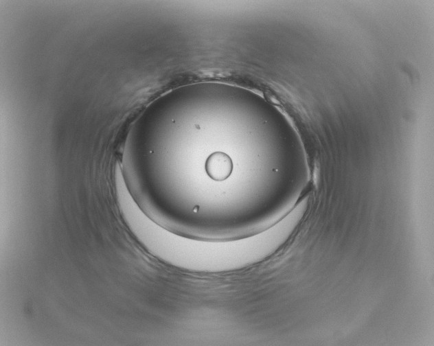 X0000115681444200911251741