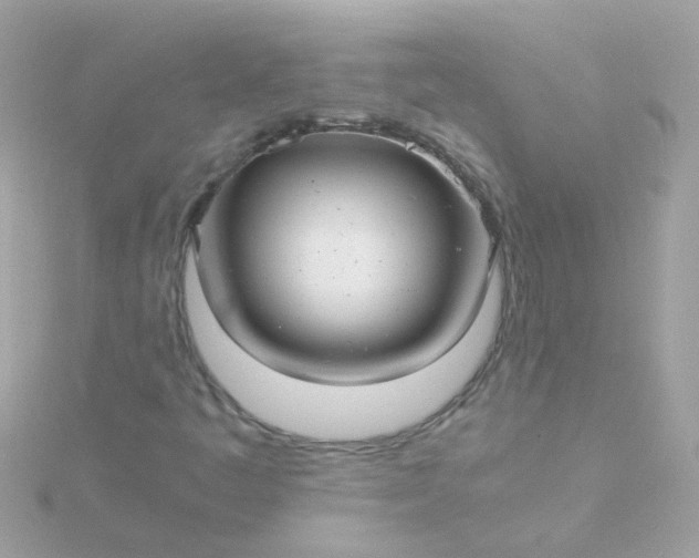 X0000115681445200911251741