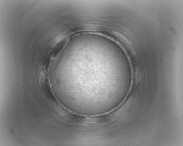 X0000115681449200911251741