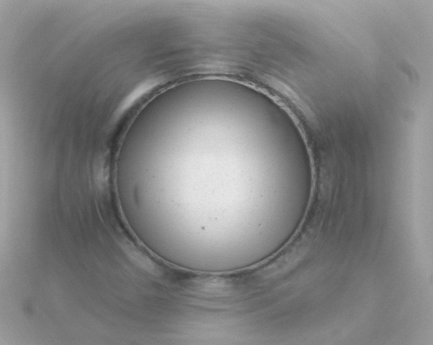 X0000115681450200911251741