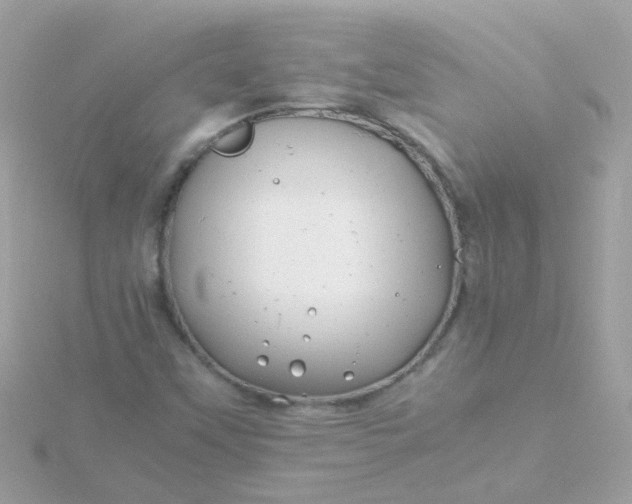 X0000115681451200911251741