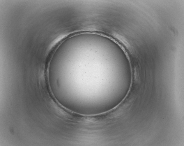 X0000115681452200911251741