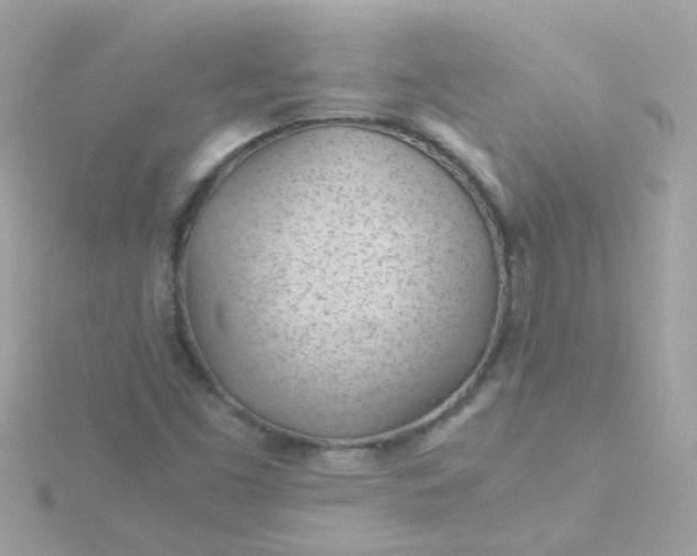 X0000115681453200911251741