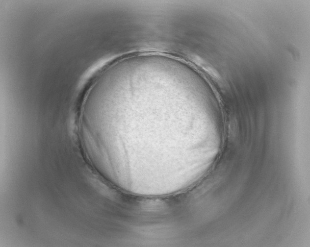 X0000115681454200911251741