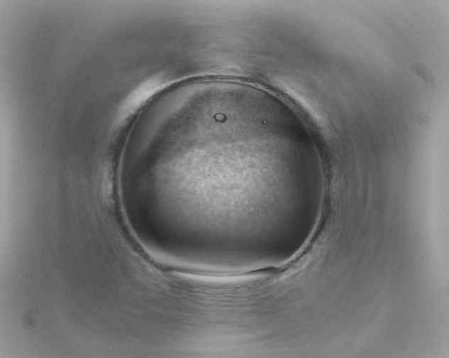 X0000115681455200911251741