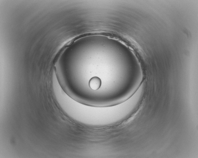 X0000115681457200911251741