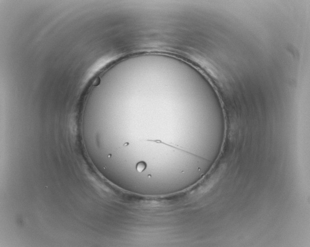 X0000115681458200911251741