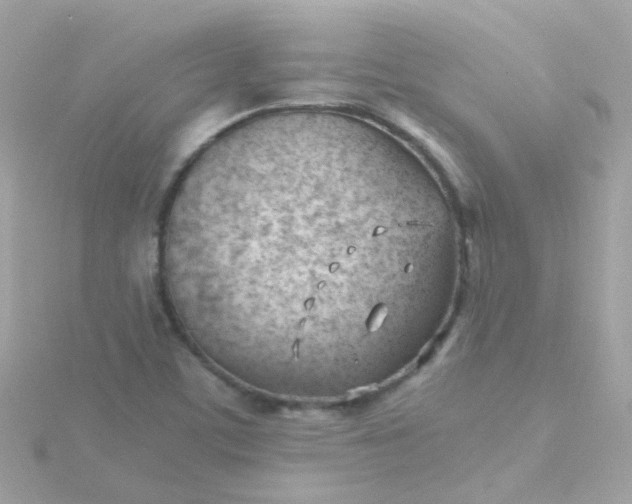 X0000115681459200911251741