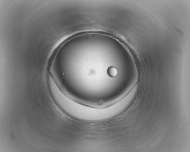 X0000115681460200911251741