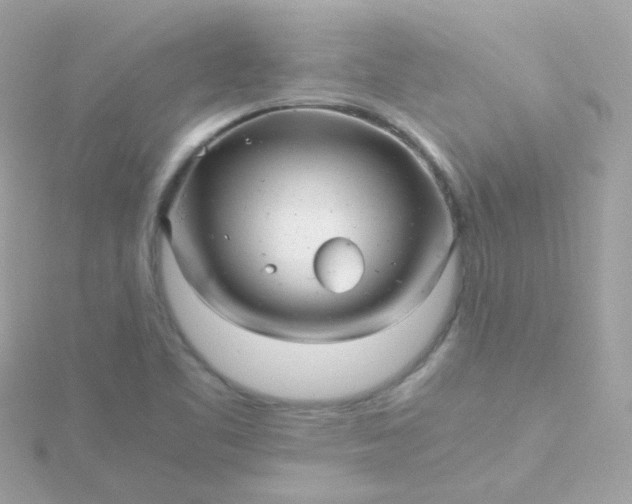 X0000115681461200911251741