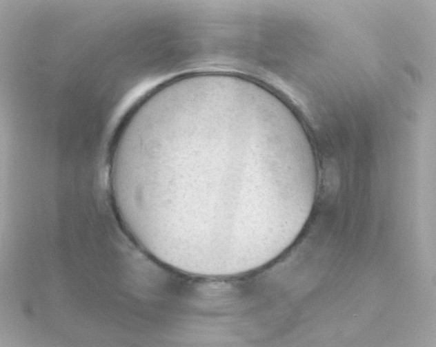 X0000115681462200911251741