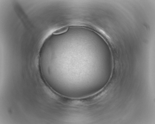 X0000115681463200911251741