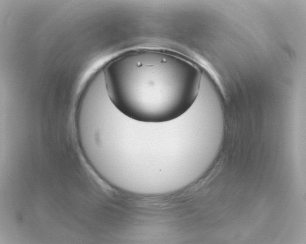 X0000115681464200911251741