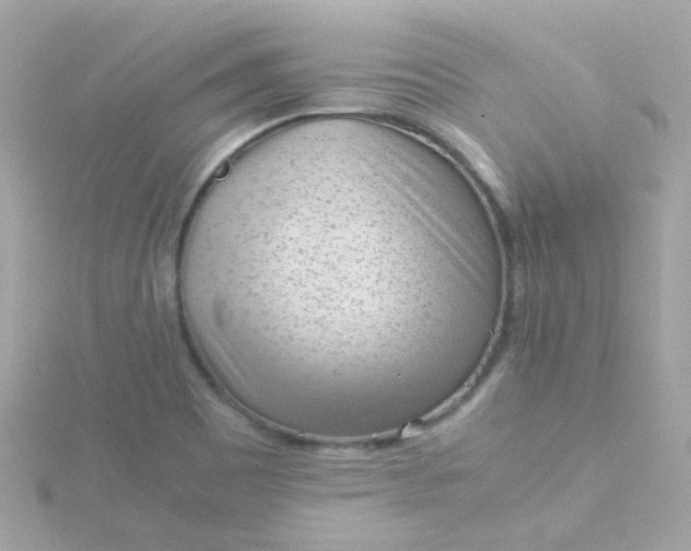 X0000115681465200911251741