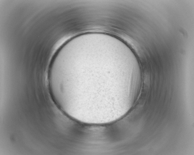 X0000115681466200911251741