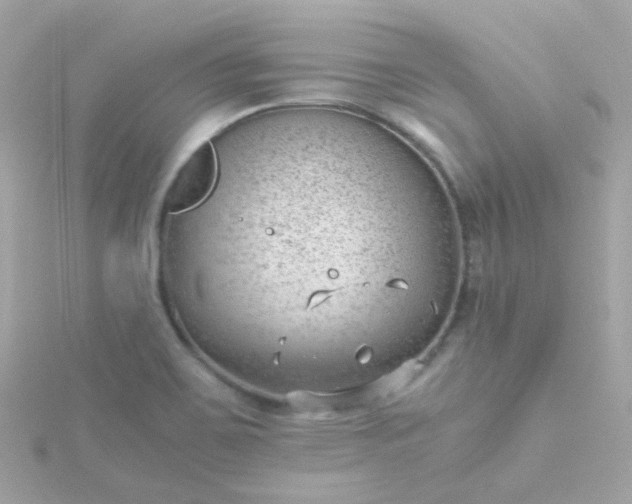 X0000115681467200911251741