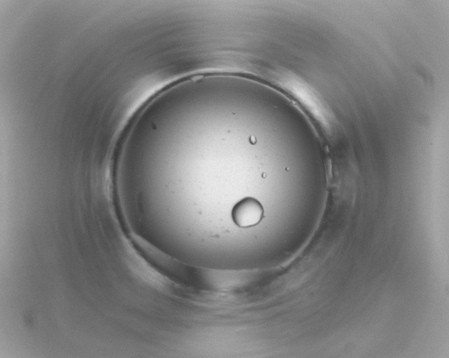 X0000115681468200911251741