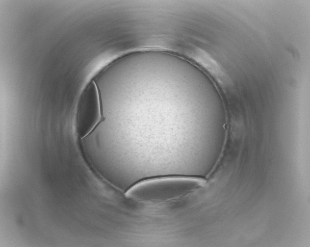 X0000115681469200911251741