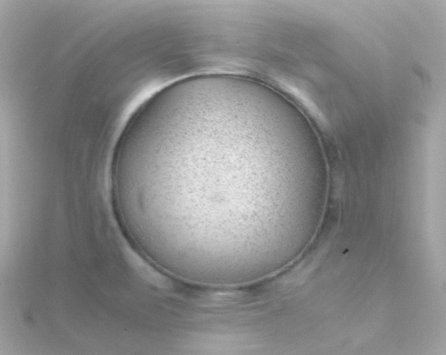 X0000115681471200911251741