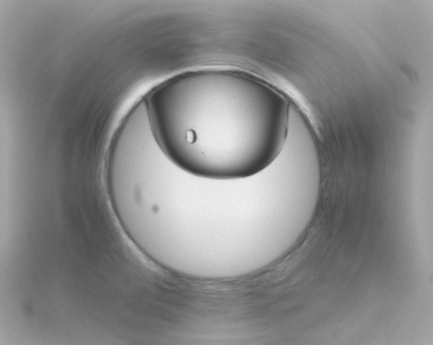 X0000115681472200911251741