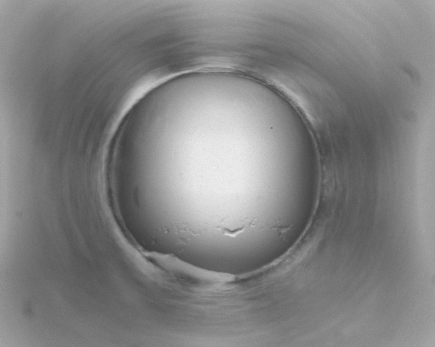 X0000115681475200911251741