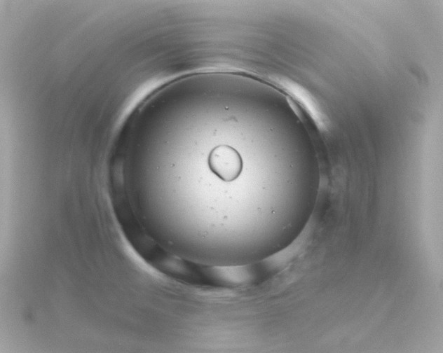 X0000115681476200911251741