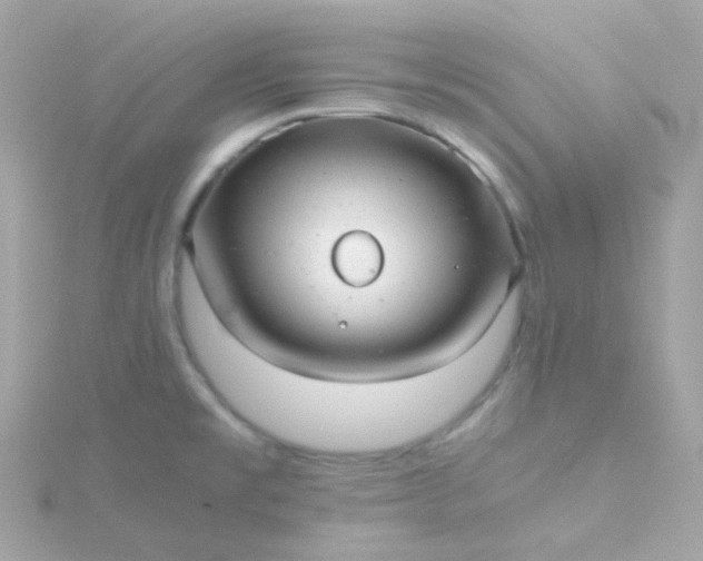 X0000115681477200911251741