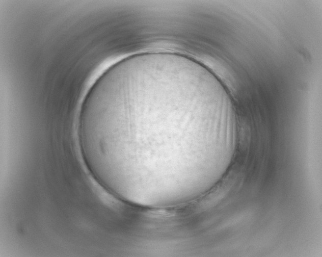 X0000115681478200911251741