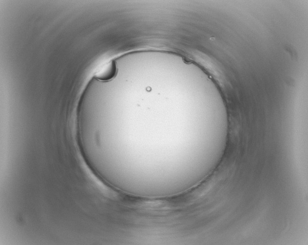 X0000115681479200911251741