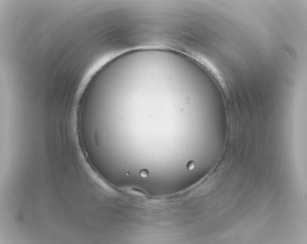 X0000115681480200911251741