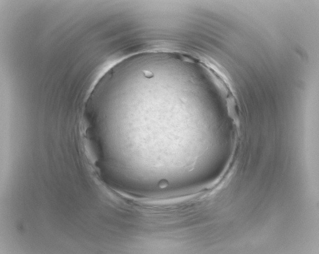 X0000115681481200911251741