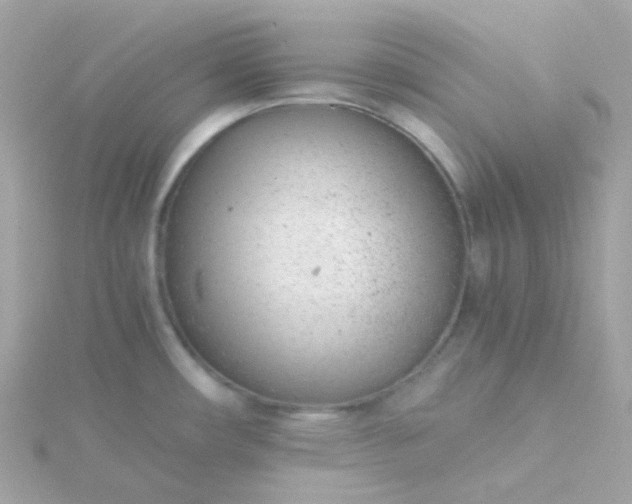 X0000115681482200911251741