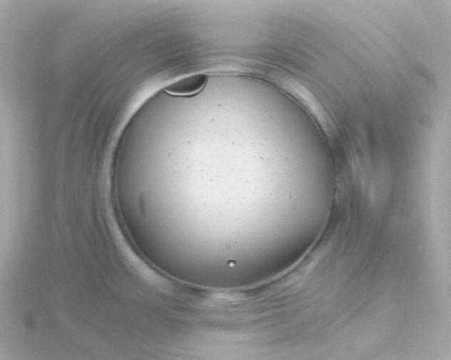 X0000115681483200911251741