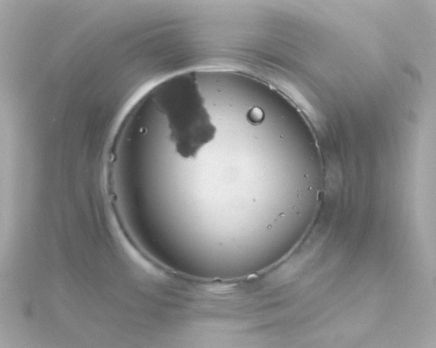 X0000115681484200911251741