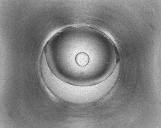 X0000115681485200911251741