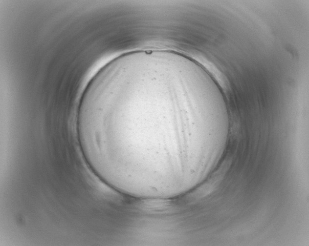 X0000115681486200911251741