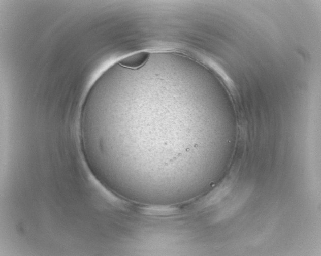 X0000115681487200911251741