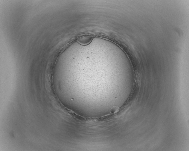 X0000115681489200911251740