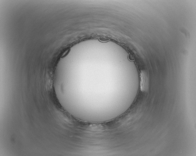 X0000115681491200911251740