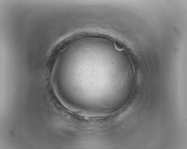 X0000115681494200911251740