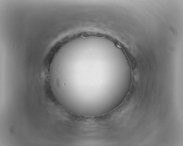 X0000115681495200911251740