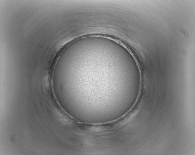 X0000115681497200911251740