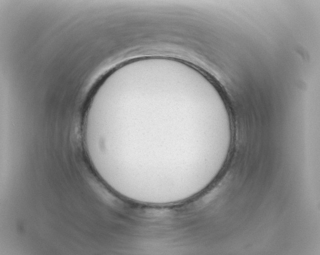 X0000115681498200911251740