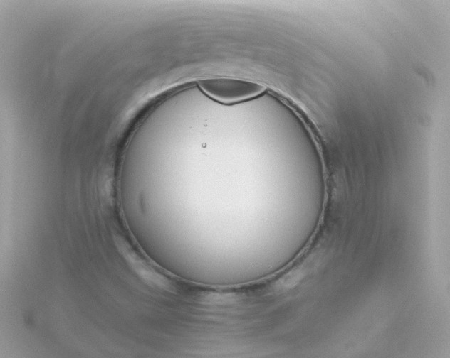 X0000115681499200911251740