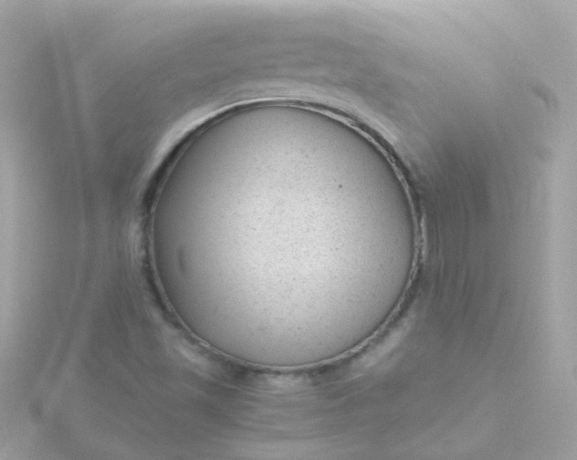 X0000115681501200911251740