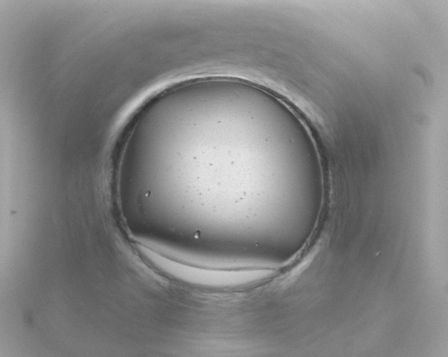 X0000115681502200911251740