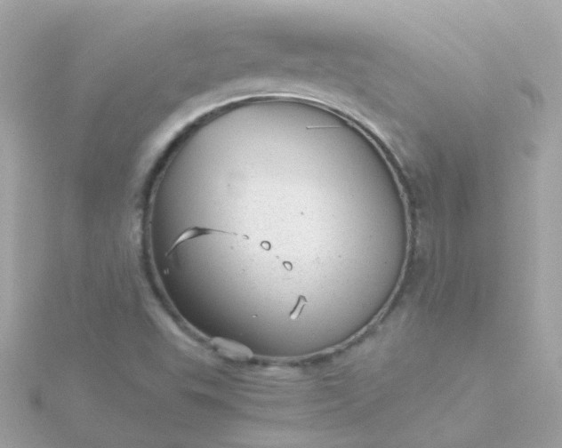 X0000115681503200911251740