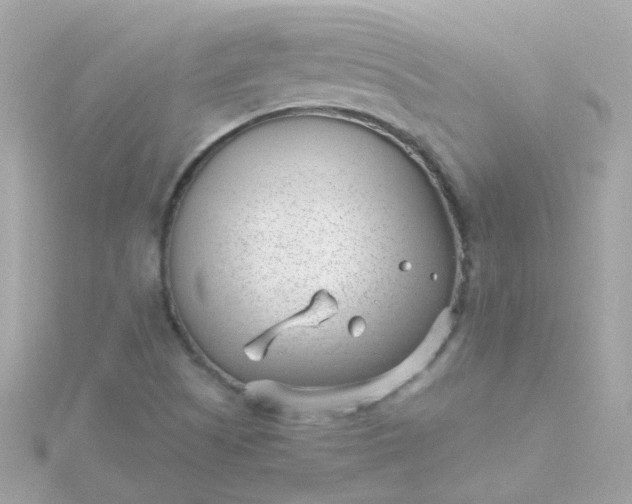 X0000115681505200911251740