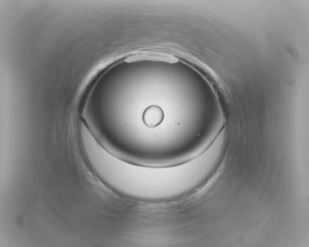 X0000115681506200911251740