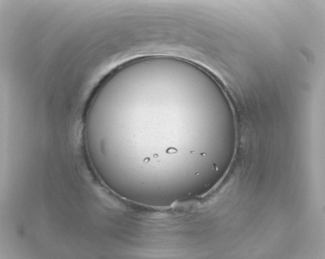 X0000115681507200911251740